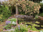 Fish pond and rose arbour