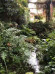 Stream garden to Garden Barn