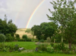 View from the garden