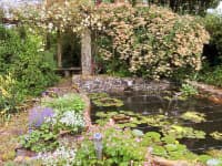 The fish pond by the Garden Barn